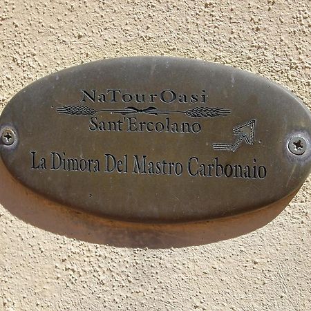 Natouroasi Agriturismo Guest House Monte San Savino Luaran gambar