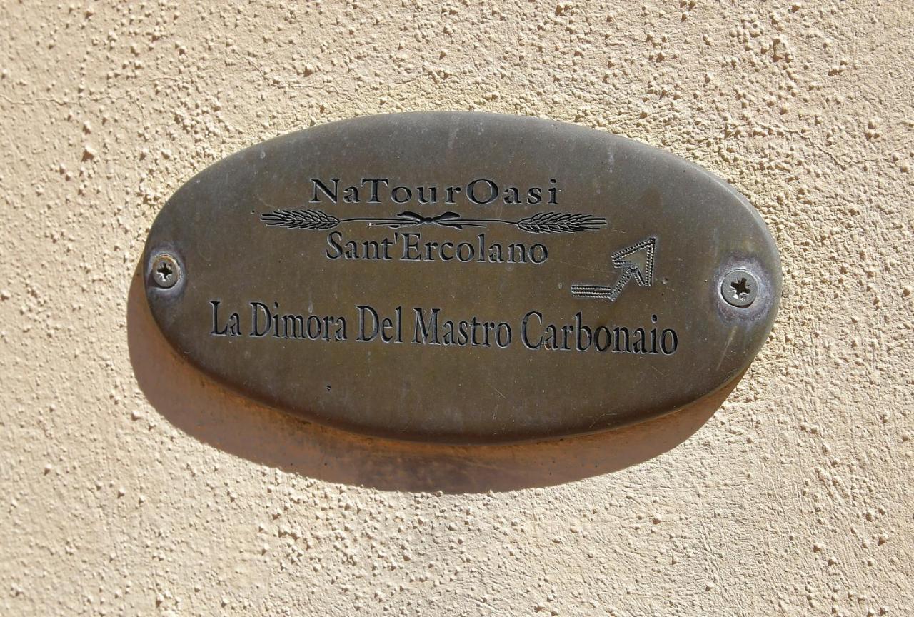 Natouroasi Agriturismo Guest House Monte San Savino Luaran gambar