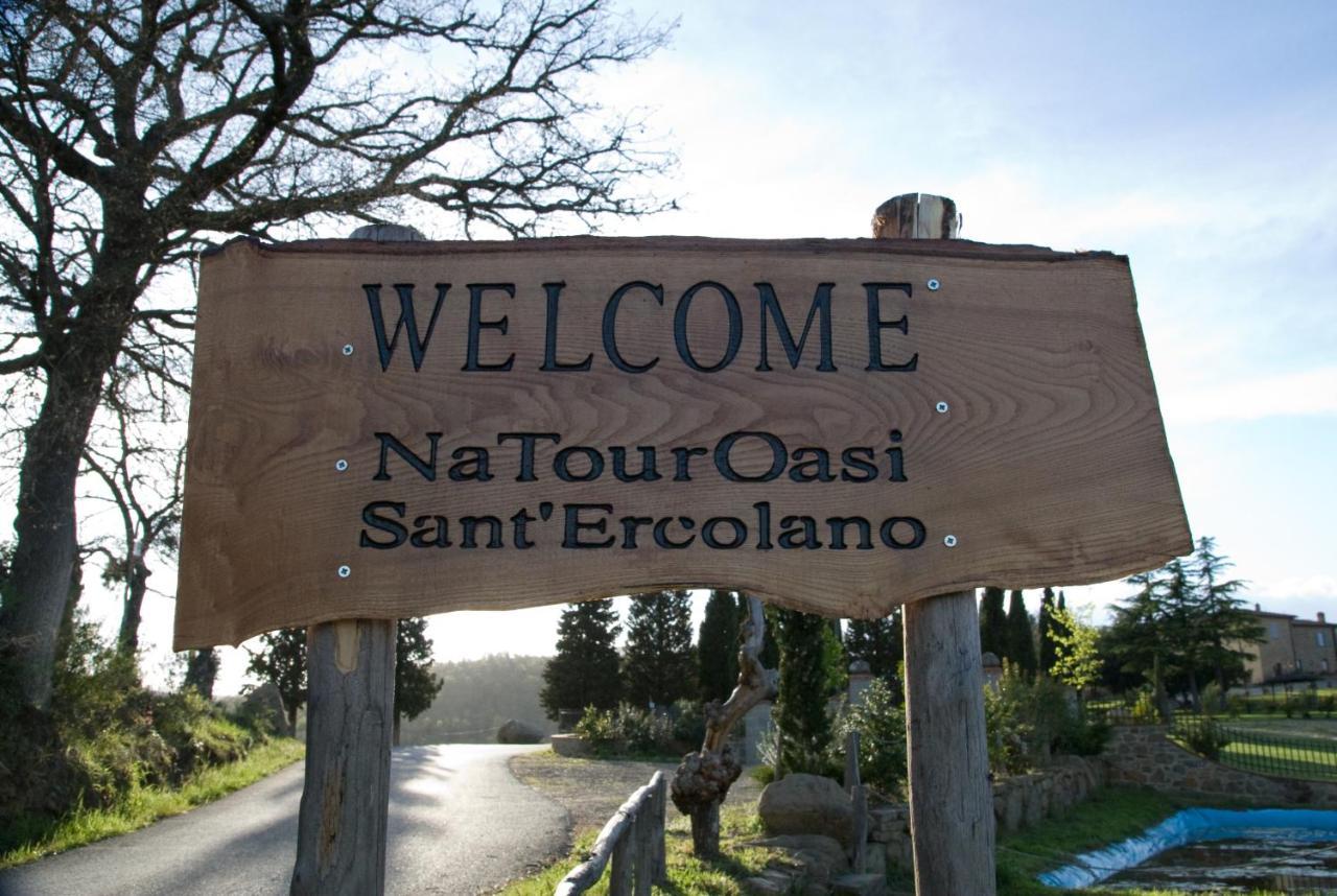 Natouroasi Agriturismo Guest House Monte San Savino Luaran gambar